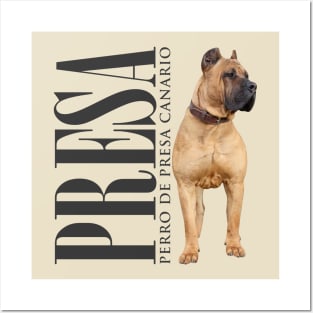 Perro de Presa Canario - Dogo Canario Posters and Art